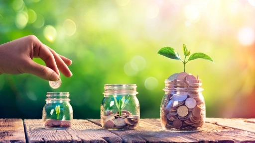 A Local Focus with National Standards